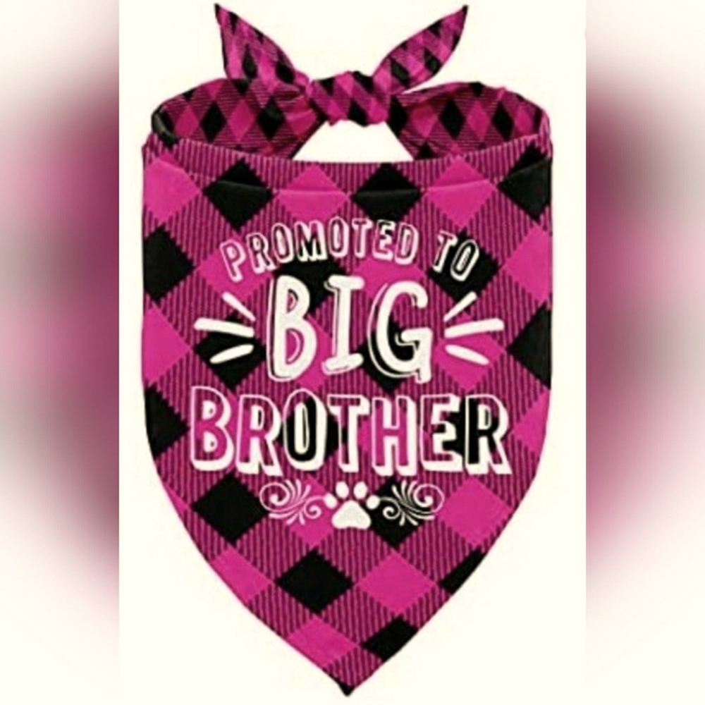 Promoted to big brother dog bandana
